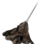 Feather Duster no.9 large