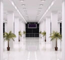 Strip &amp; Sealing of Hard Floors